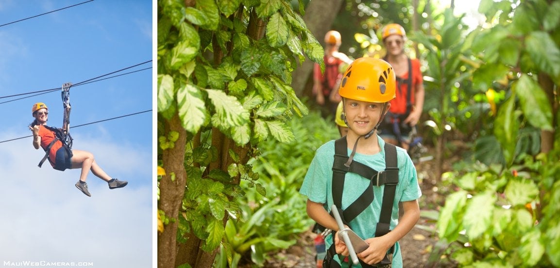 Maui zipline