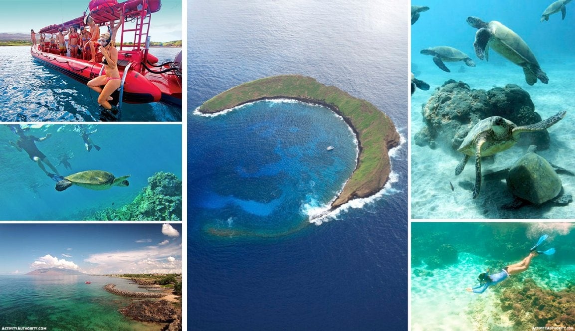 snorkeling Maui