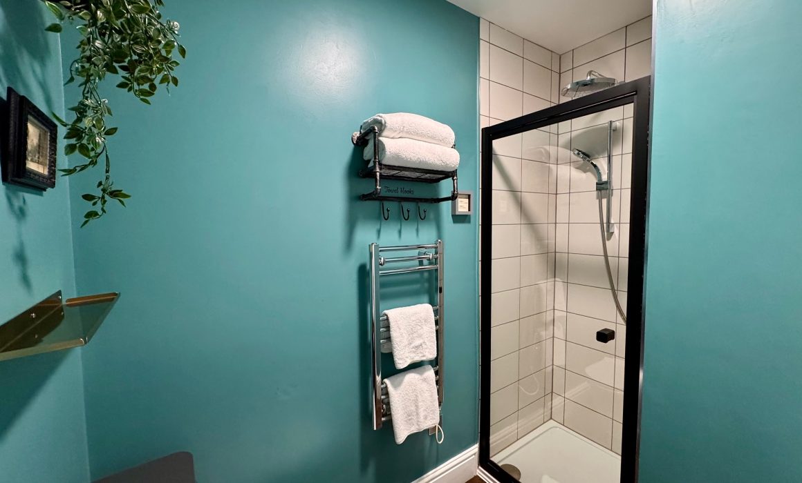 'Dome' Premier Super King Room En-suite