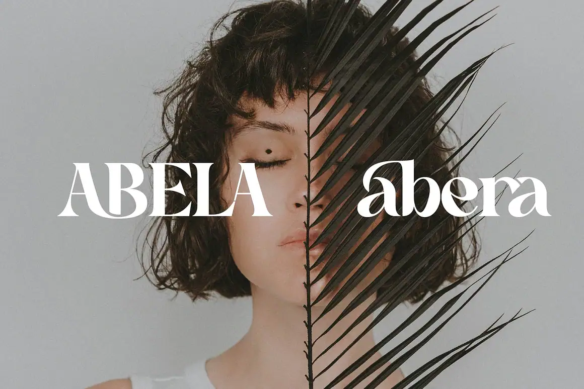 Cehua elegant serif font is a beautiful high contrast font.