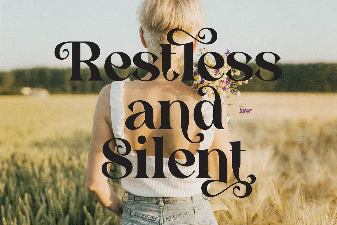Cehua elegant serif font is a beautiful high contrast font.