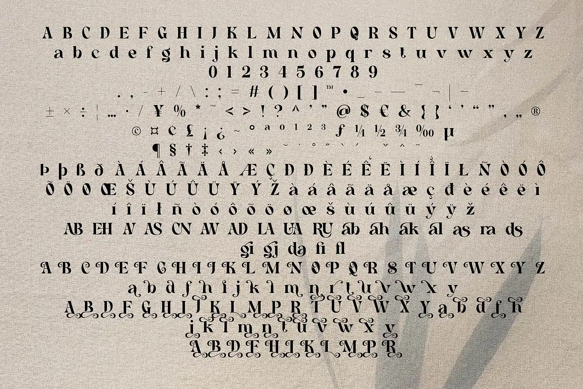 Cehua elegant serif font is a beautiful high contrast font.