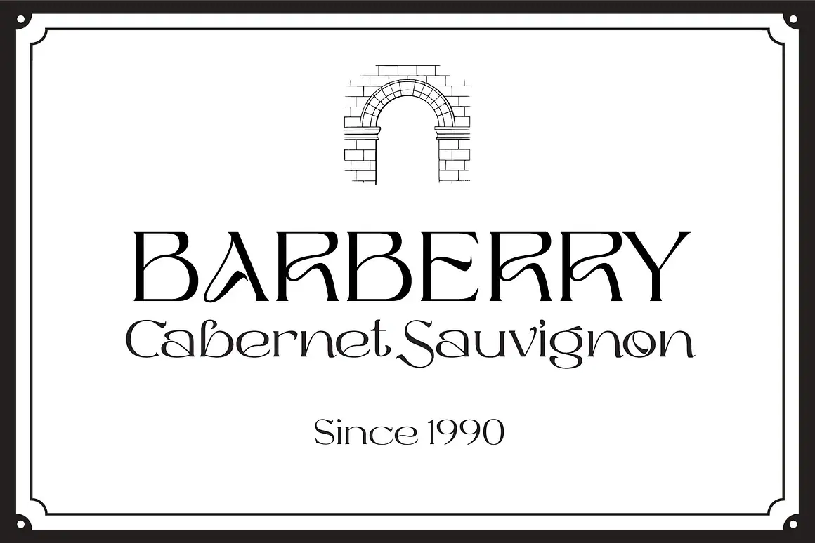 Balbes - Modern Serif Font with multi shapes and lines.