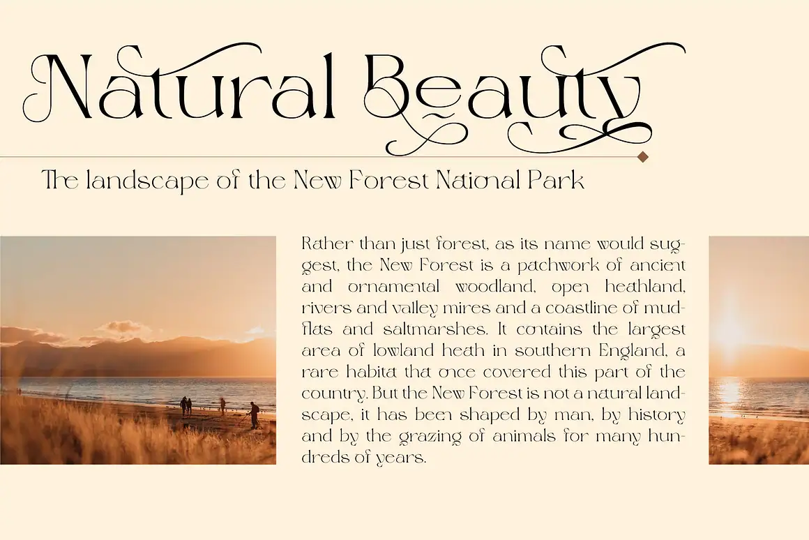 Magero — Elegant Serif Font with Ligatures & Swashes