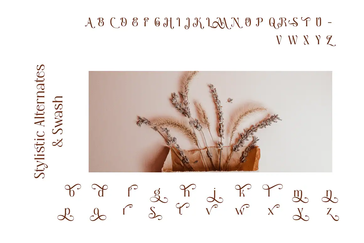 Download Melgis Tp, a premium beauty serif font by AuthenType. Perfect for logos, magazines, and branding.