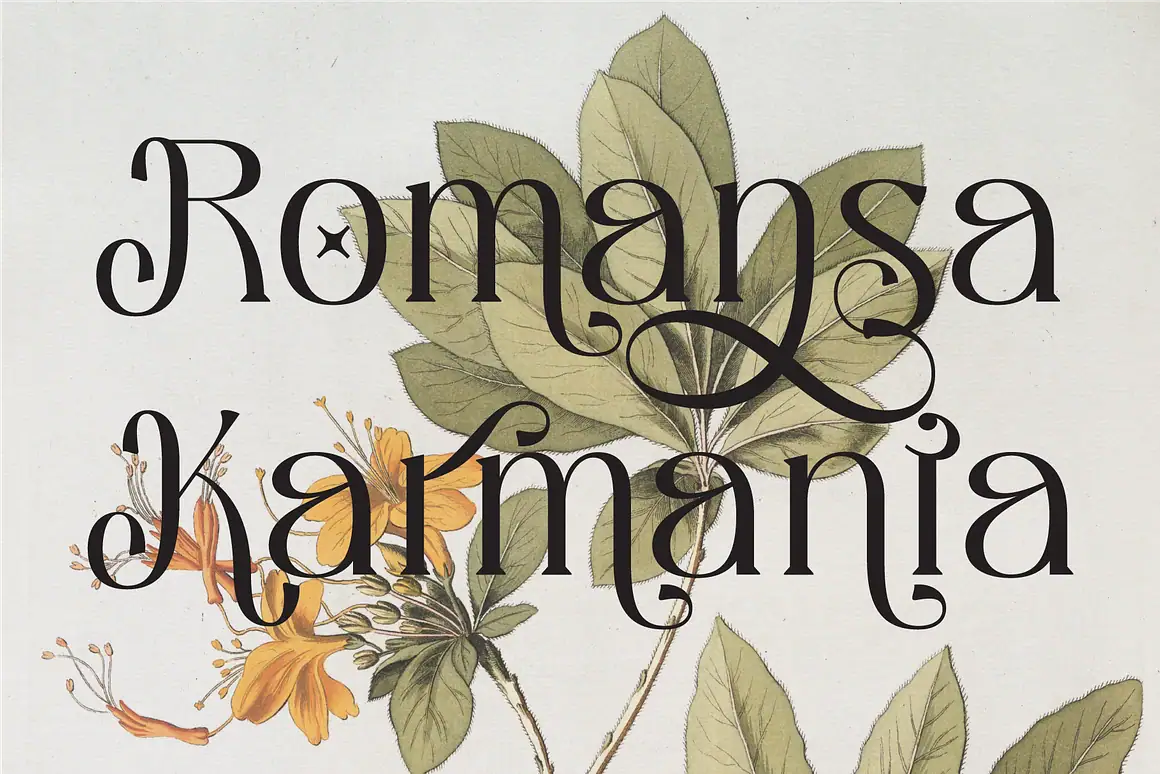 Download Melgis Tp, a premium beauty serif font by AuthenType. Perfect for logos, magazines, and branding.
