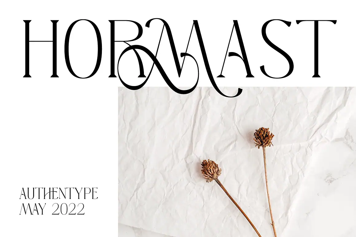 Download Melgis Tp, a premium beauty serif font by AuthenType. Perfect for logos, magazines, and branding.