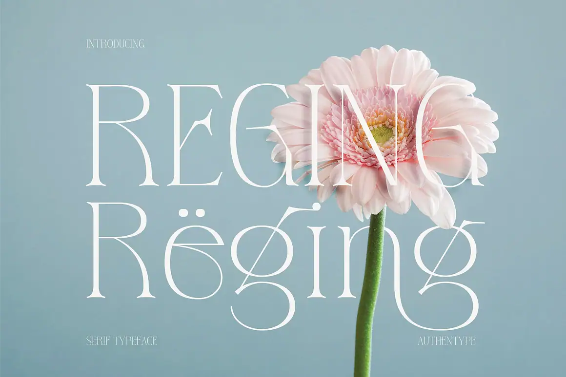 Reging – Elegant Serif Font for Beauty Branding