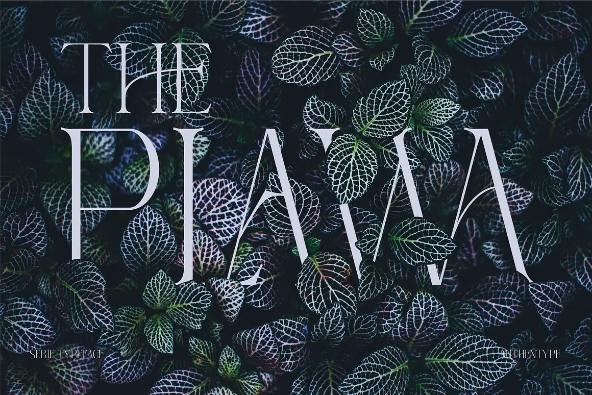 Reging – Elegant Serif Font for Beauty Branding