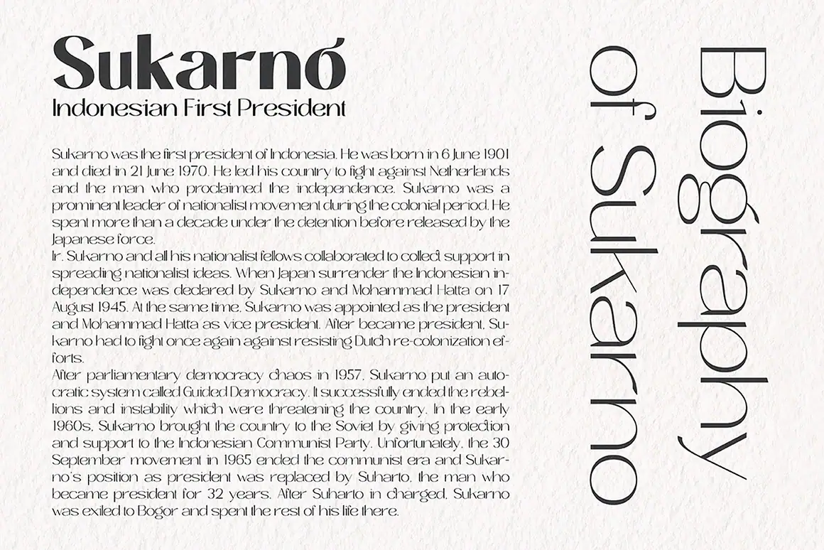 Roses Bolero is an elegant sans serif font