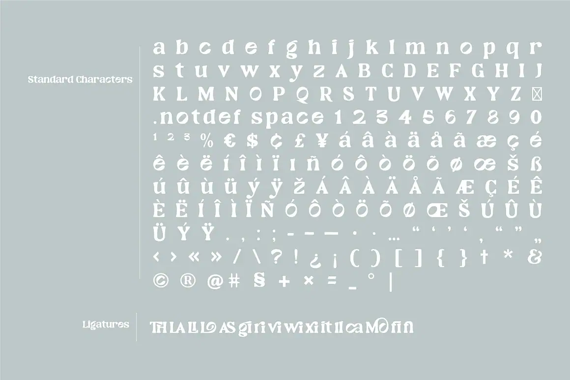 Windec - Serif Display Font