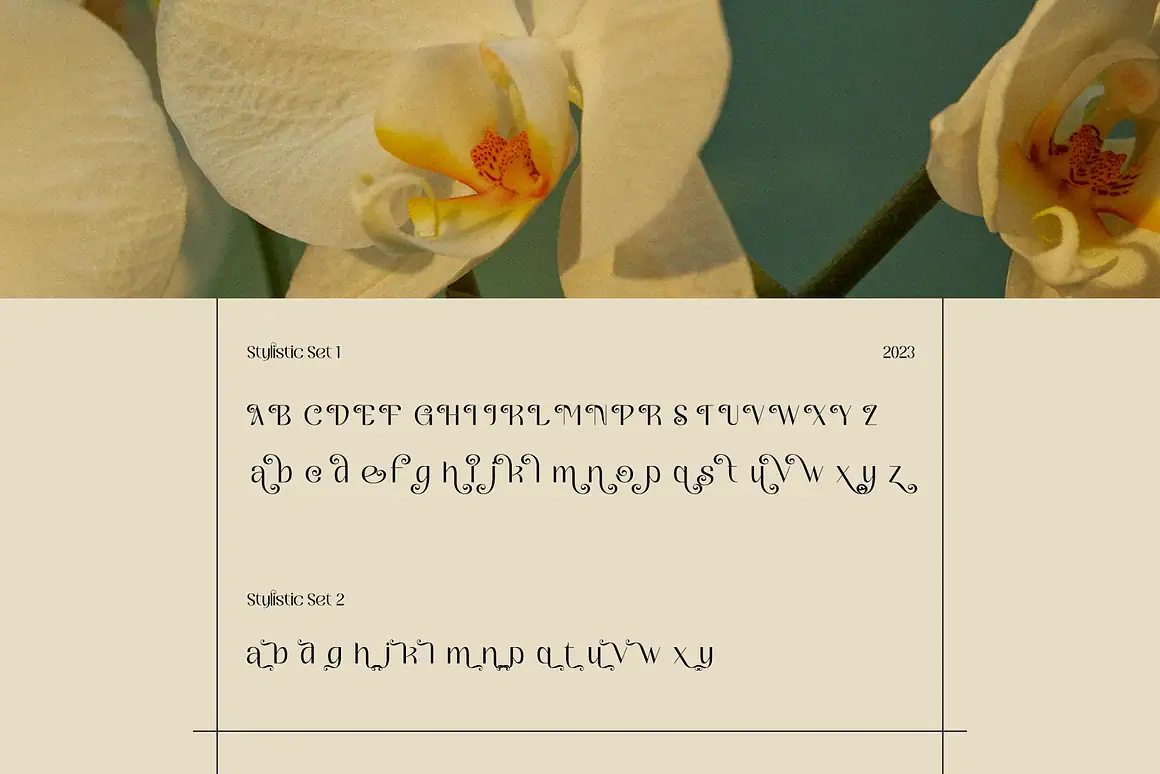 Berday Beautiful Sans Serif
