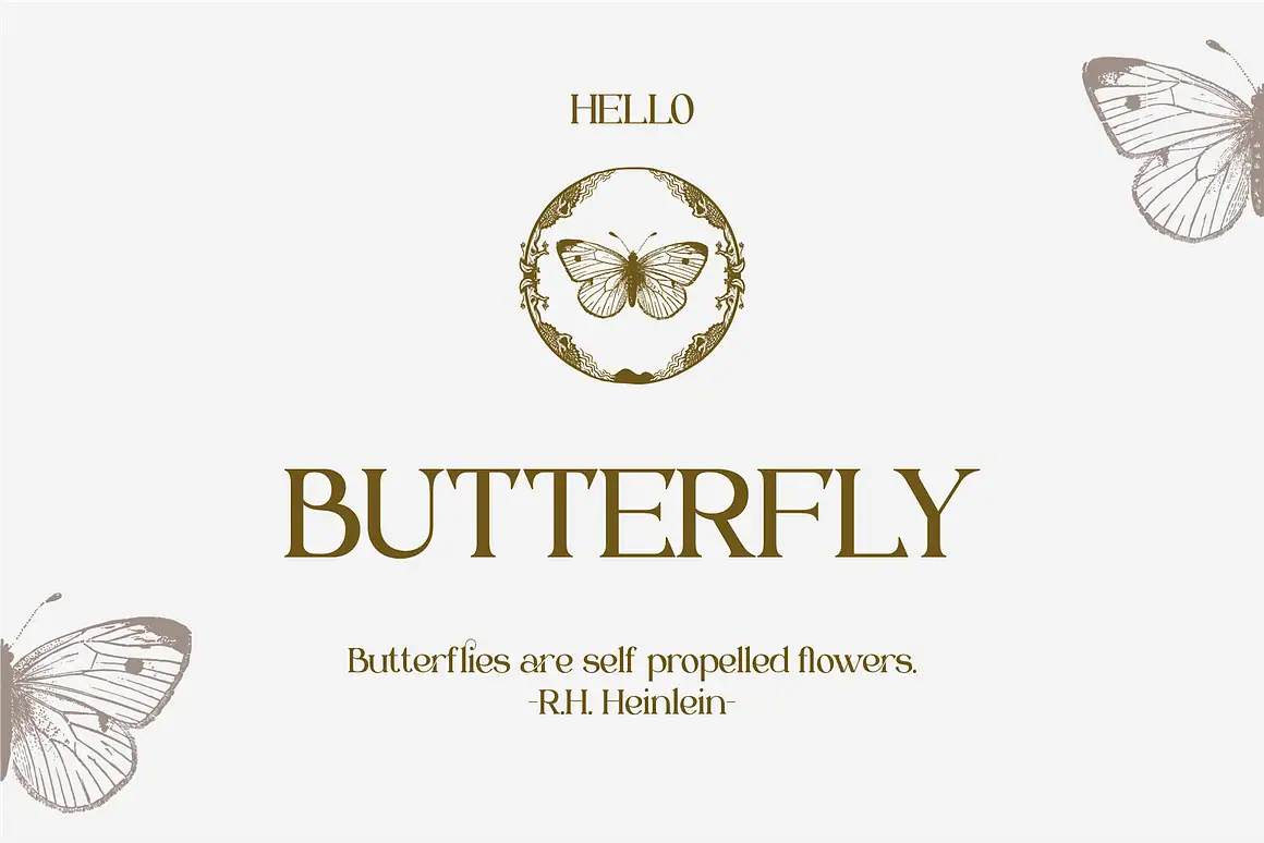 Braisle – Beauty and Elegant Serif