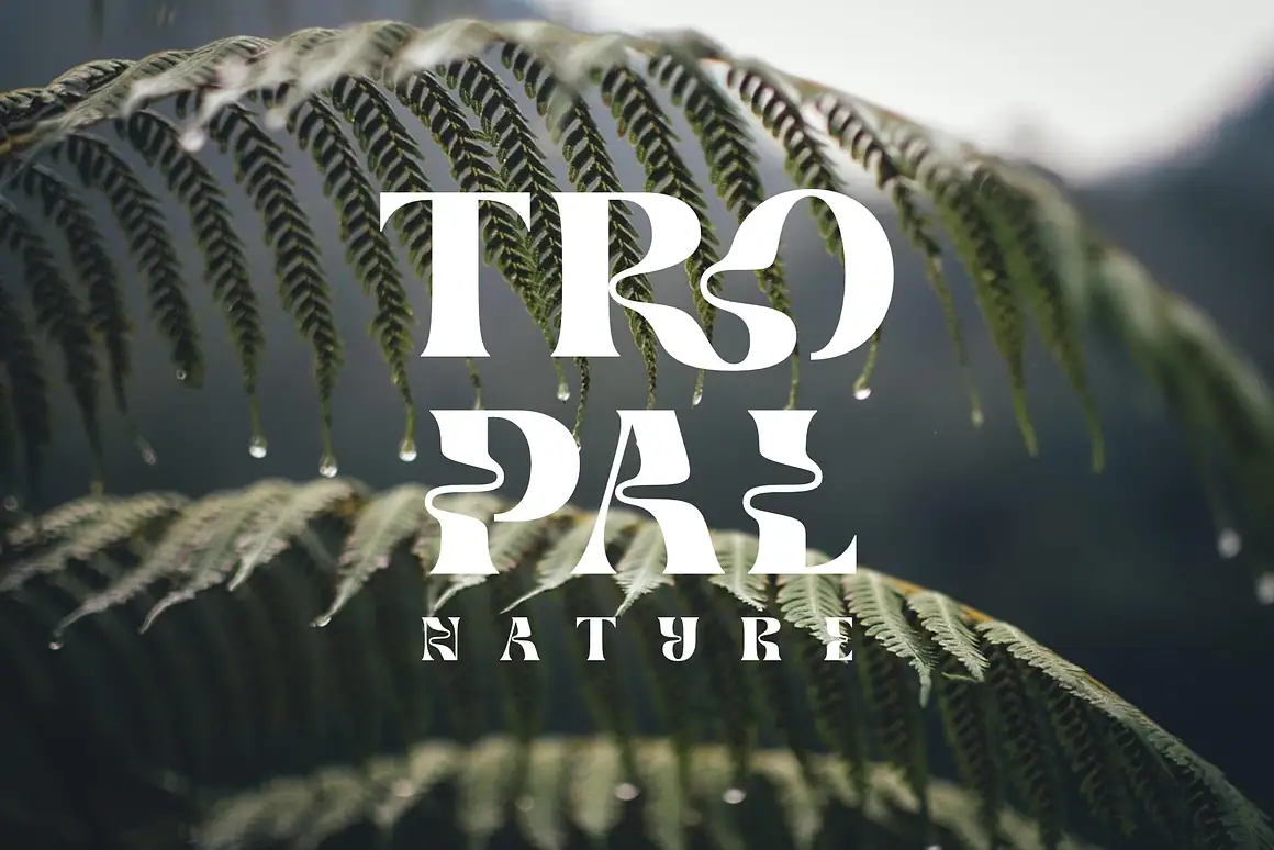 Brangkos A Wave Serif Typeface – Bold curves, organic flow — made for natural beauty brands.