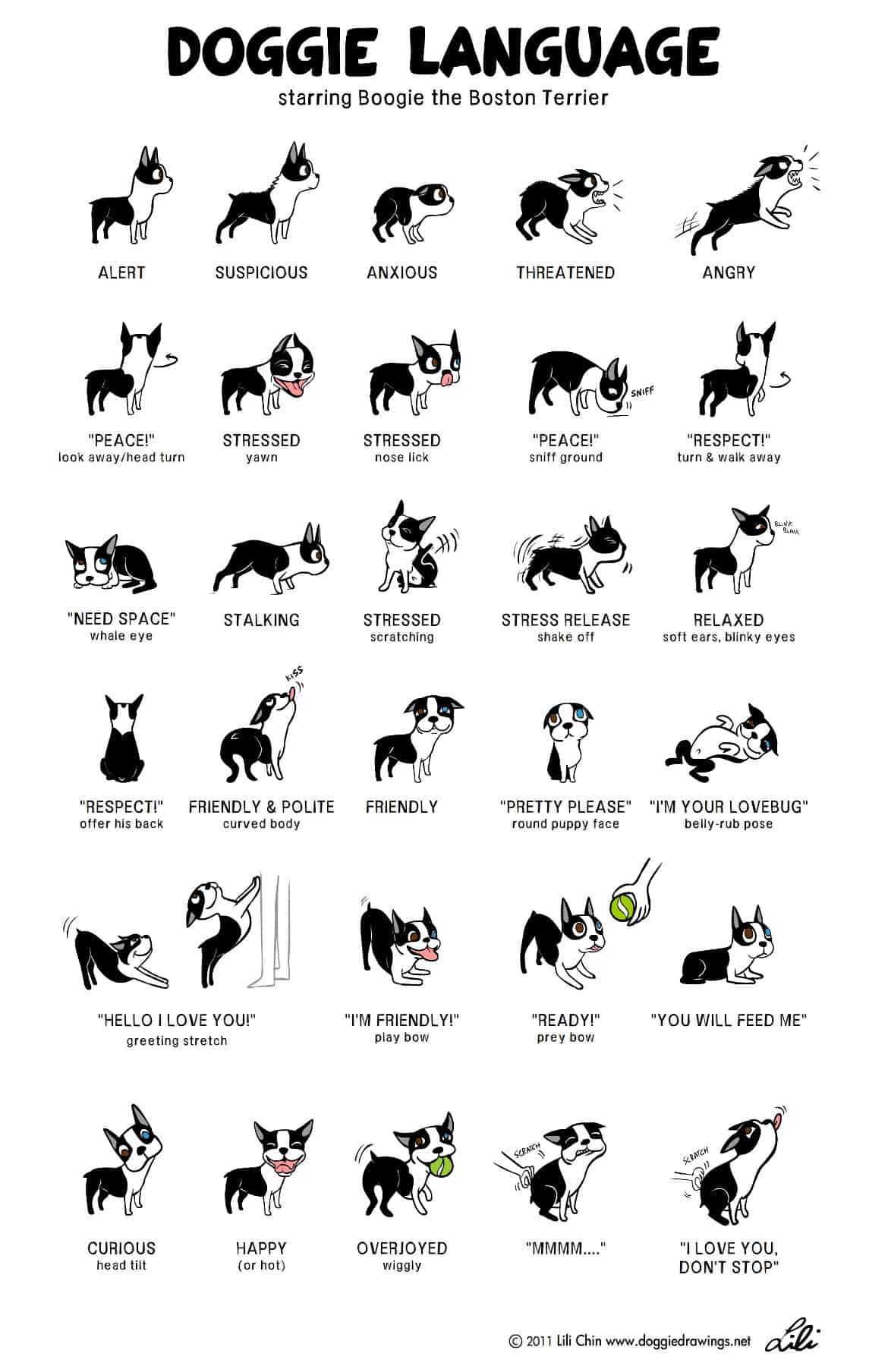 Emotions, body language and mood: how well do you know your dog?