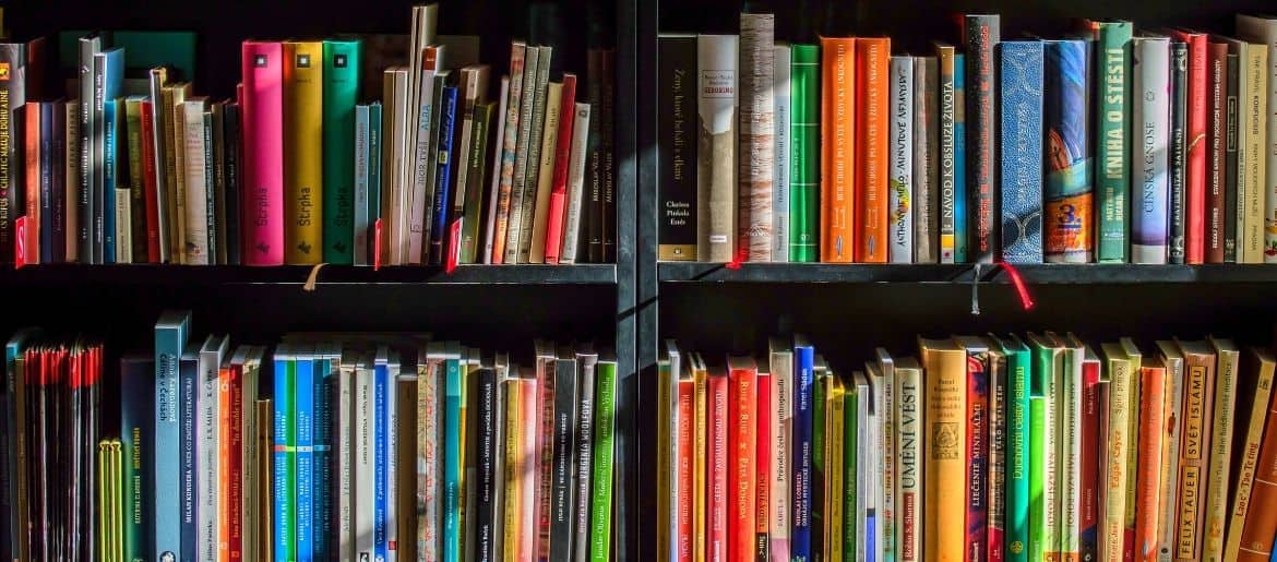 Cute Custom Bookcase Ideas for Kids Rooms