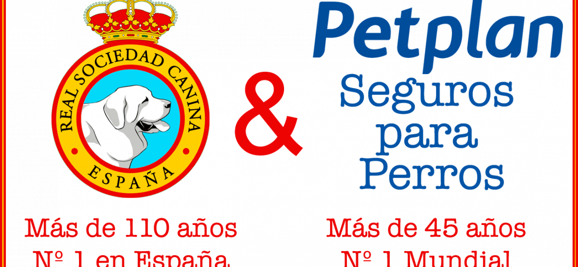 Real Sociedad Canina España Petplan