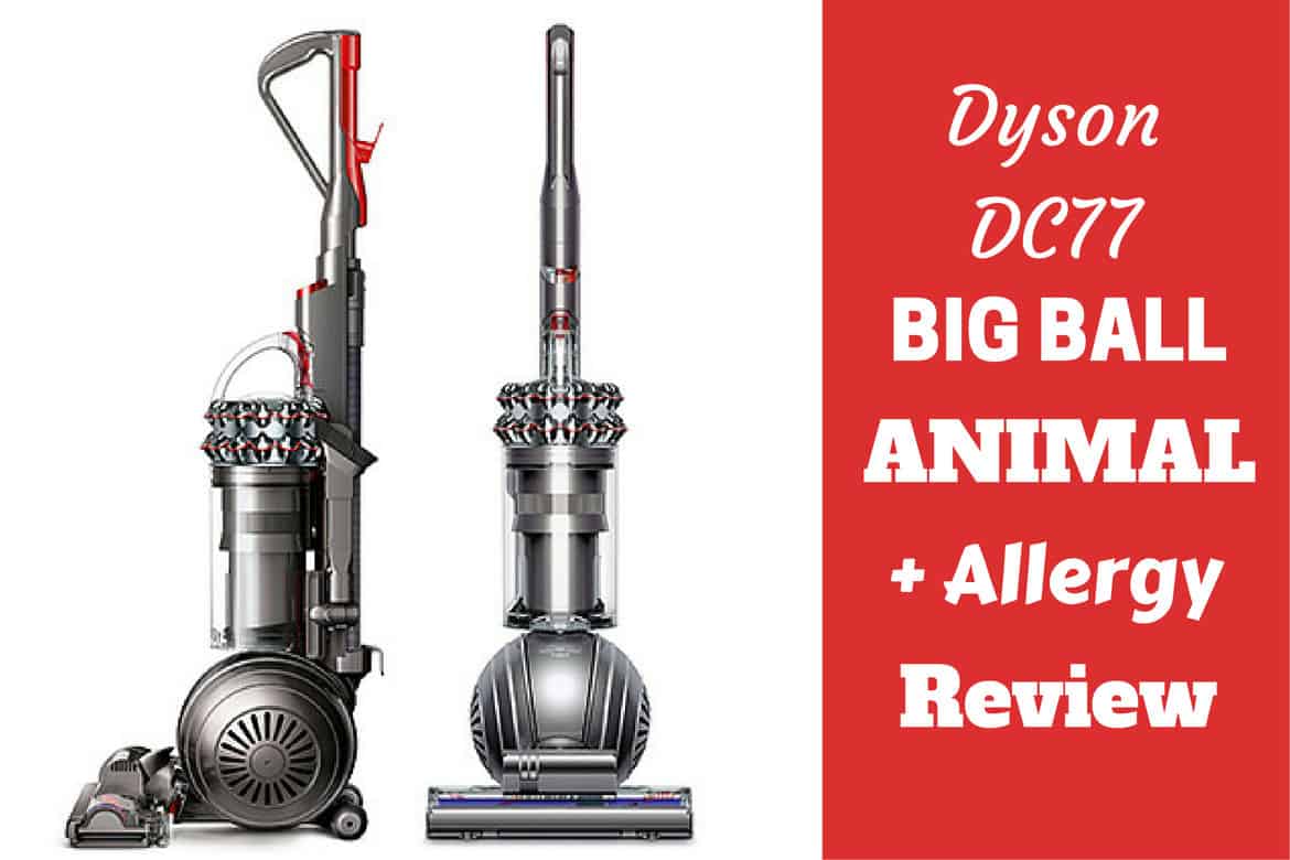 Dyson DC 77 big ball animal plus allergy on white bg