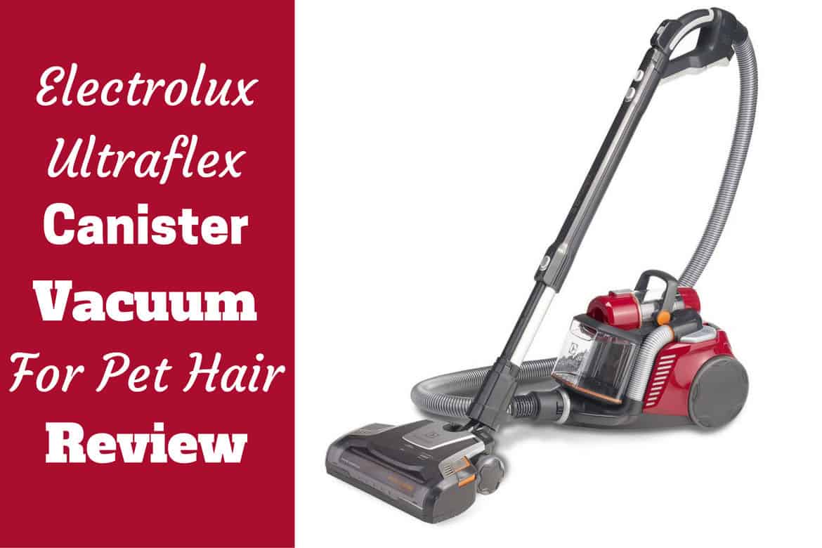 Electrolux ultraflex review written beside the vac on white background