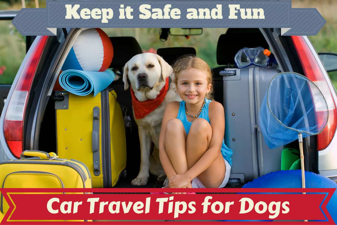 Car travel tips for dogs written below a young girl and lab sitting in open boot of a car