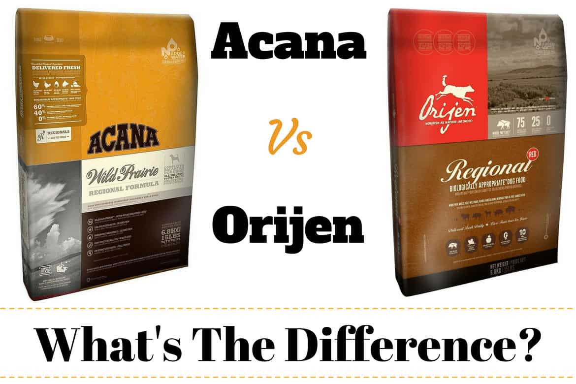 Acana vs Orijen written between a bag of each brand of dog food on white bg