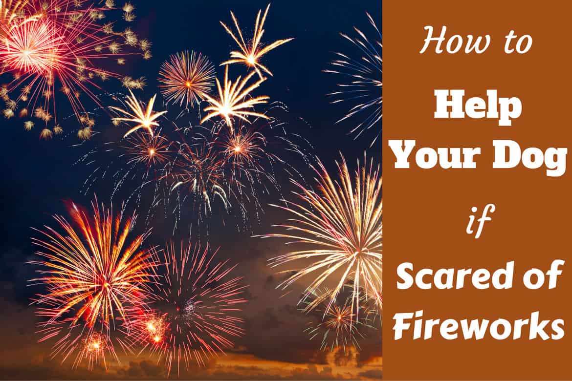 How to help your dog if scared of fireworks written beside a sky full of a display