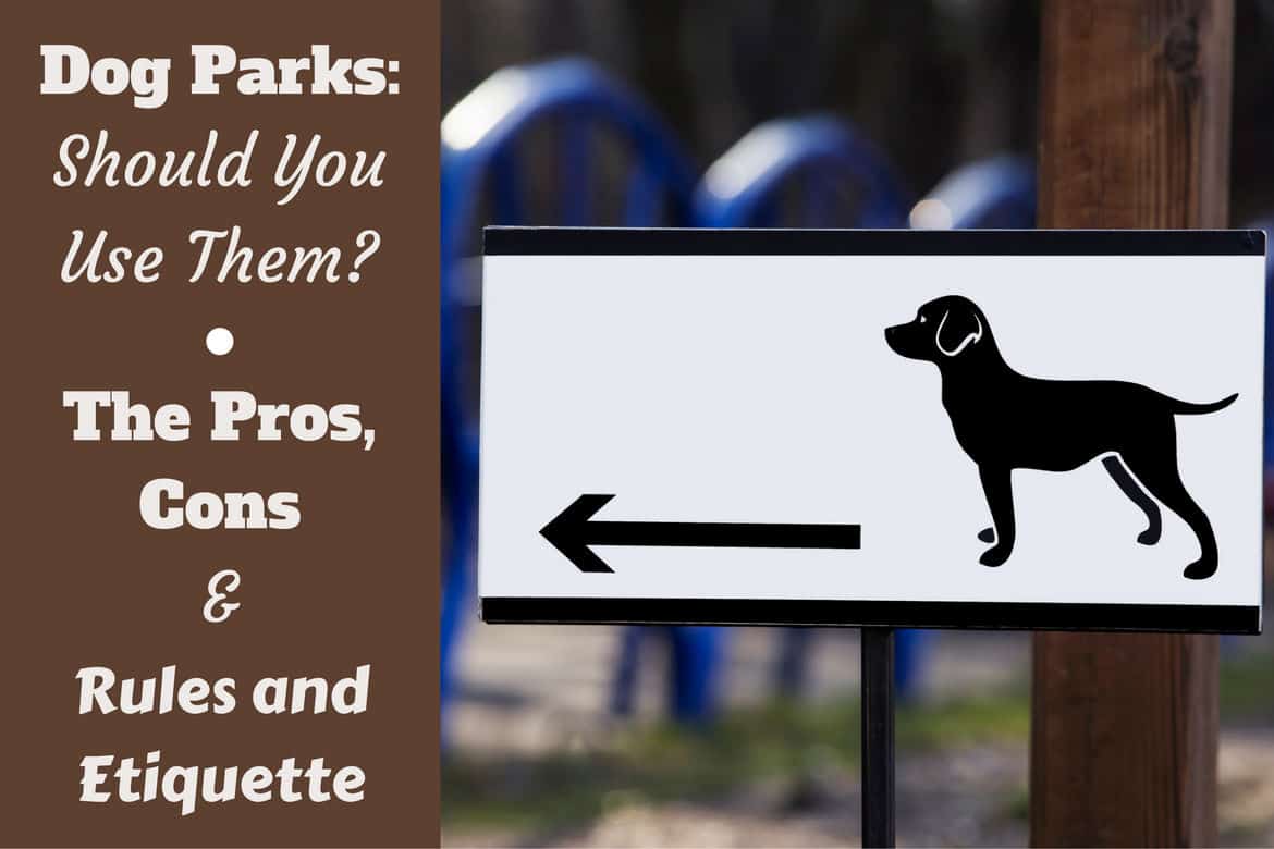 Dog park rules and etiquette writte beside a sign pointing to a dog park