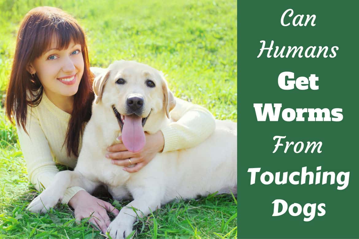 Can humans get worms from dogs written beside a lady hugging a labrador