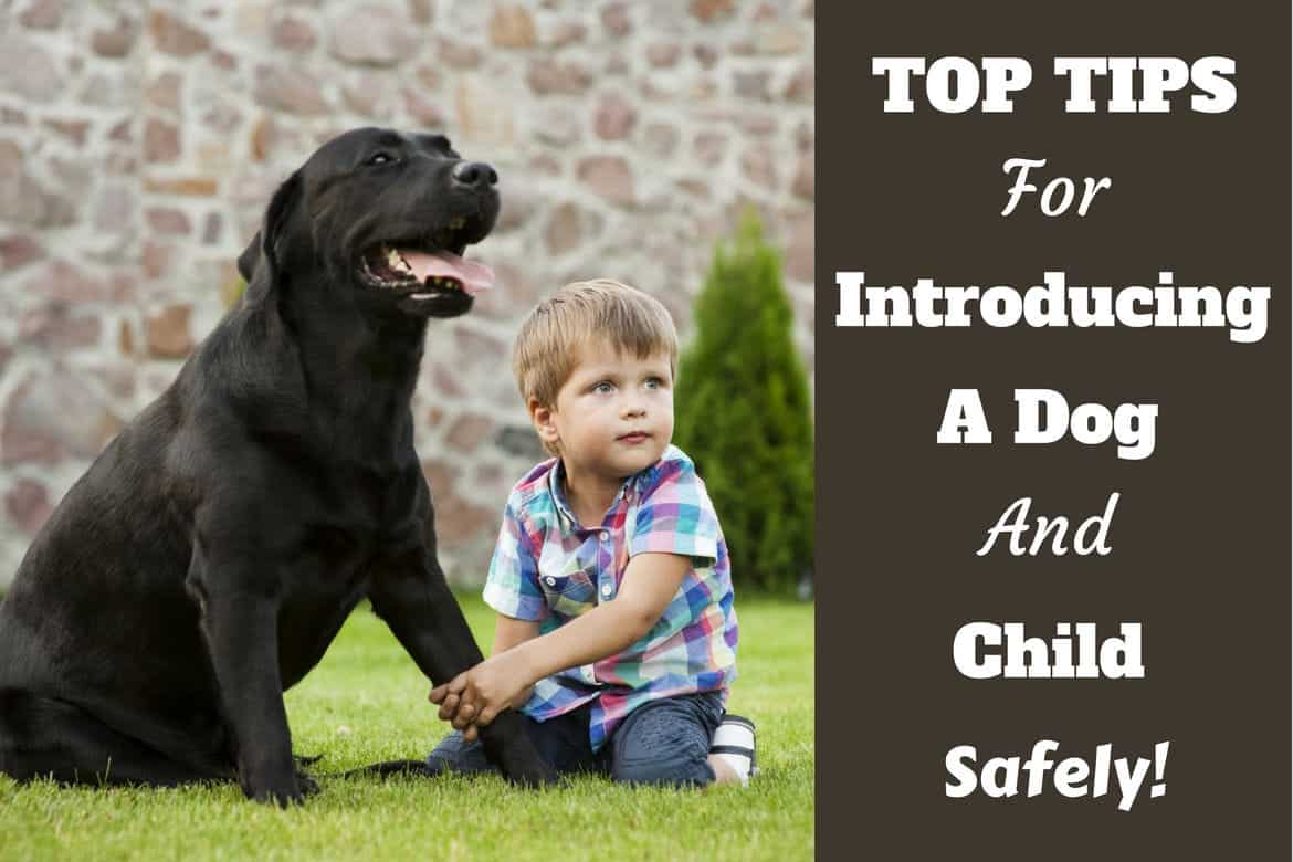 A black labrador and young child sitting side by side on grass in front of an old brick wall