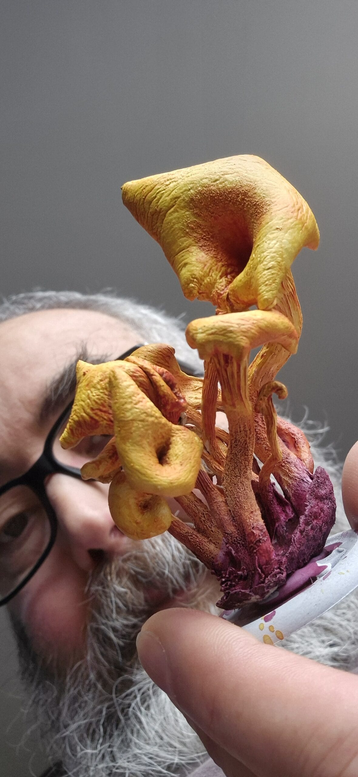 Décors : des champignons pour faire de la végétation extra-terrestre