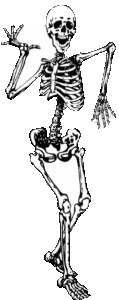 Spooktacular skeleton