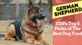 best dog food for german shepherd