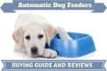 Best automatic dog feeder written beside a hungry lab with paw in empty bowl