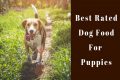 best rated dog food for puppies