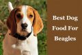 Best Dog Food For Beagles