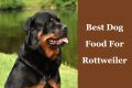 best dog food for rottweiler