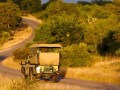 Kruger Game Drive