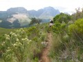 Walking Assegaaibosch,Jonkershoek, Cape Winelands Walk