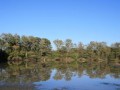 bushveld game walk, dam