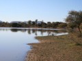 bushveld game walk, Bushveld dam