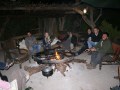 bushveld game walk,Bushveld evening