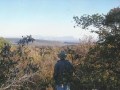 bushveld game walk