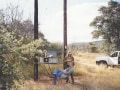 bushveld game walk
