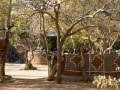 bushveld game walk, entrance