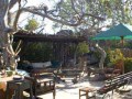 bush camp, bushveld game walk