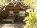 bushveld game walk, main camp 4