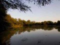 bushveld game walk, dam