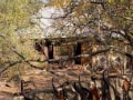 bushveld game walk, safari1