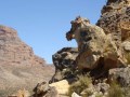 cederberg