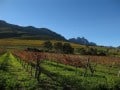 lourensford-autumn